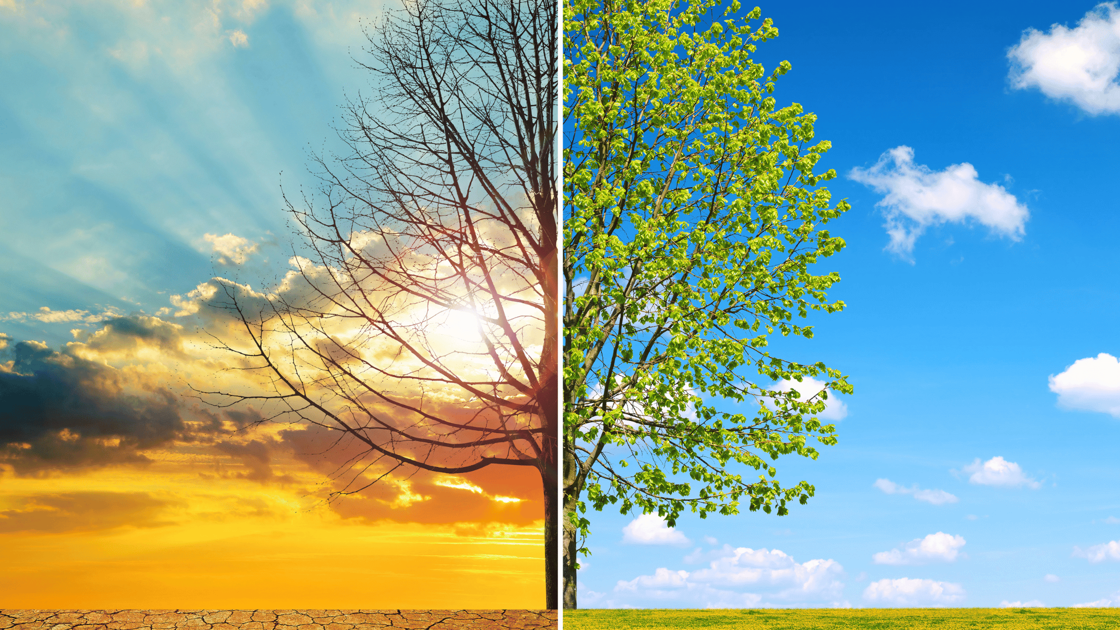Global Warming